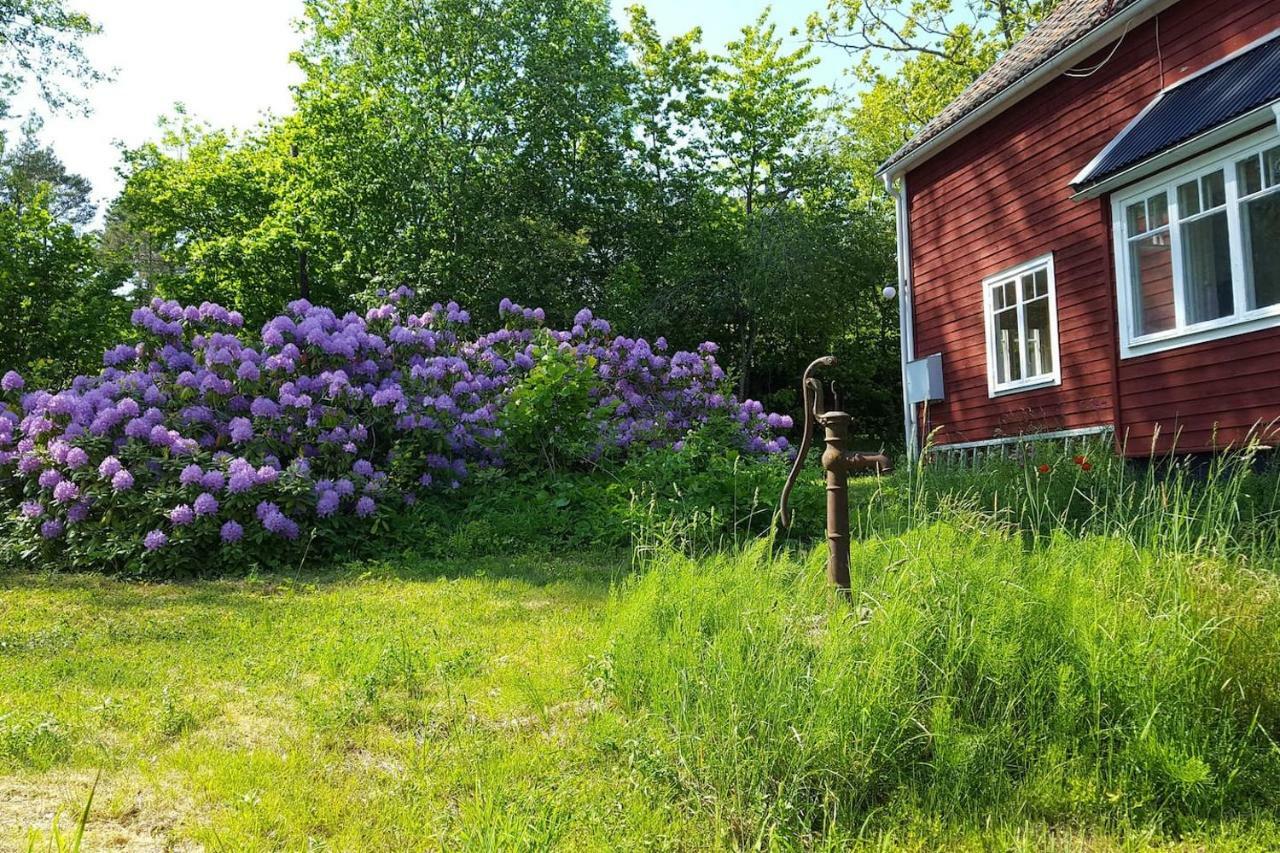 Villa Nyborg - By The Sea สต็อกโฮล์ม ภายนอก รูปภาพ